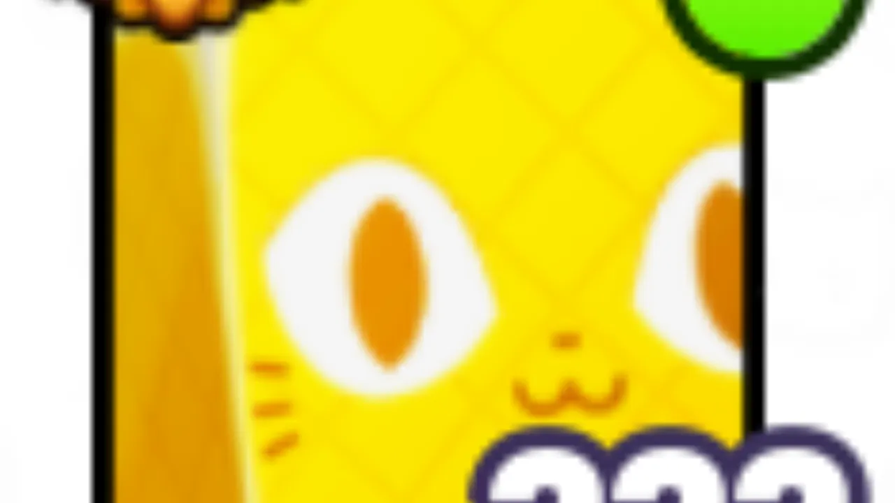 Huge pineapple Cat